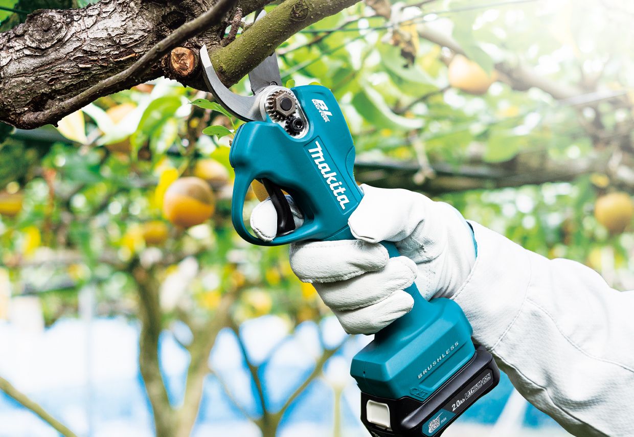 UP100D Forbici per potatura 12Vmax